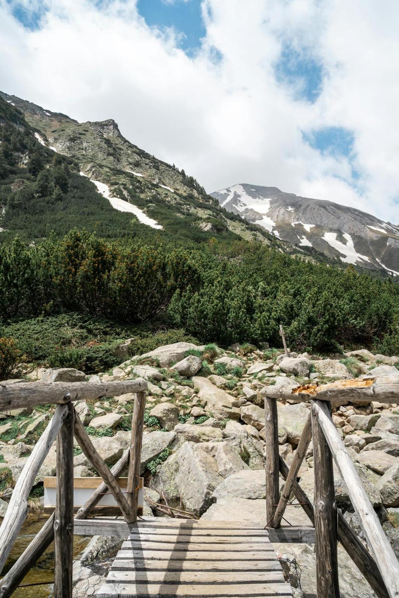 Villa Raphael Near The Pirin Golf Resort バンスコ エクステリア 写真